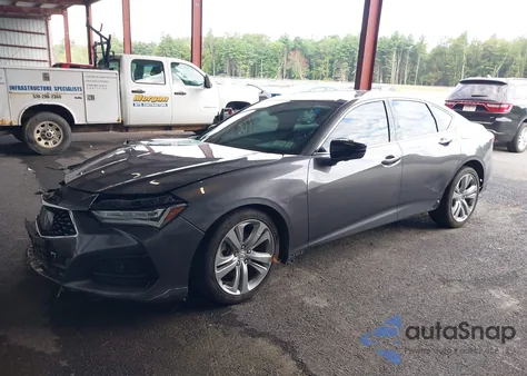 2021 Acura Tlx Technology z USA, uszkodzony, nr VIN 19UUB6F48MA002217